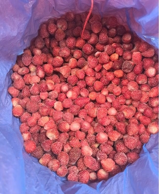 2025 New Crop Iqf Strawberry Whole A13 Frozen Strawberry Whole Frozen Fruits