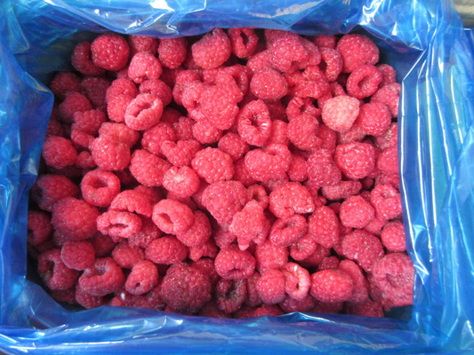 High Quality Bulk Frozen Raspberries Frozen Raspberry Bulk Packaging Fruit