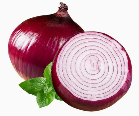 Fresh onion whole for Your Business Round and  Packed in Mesh Bags Cartons PVC Boxes or Vacuum Packs
