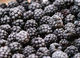 Frozen Fruits Berries Hot Sale and High Quality IQF Frozen Blackberry