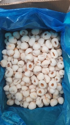 2025 NEW CROP High Quality IQF ​Lychee