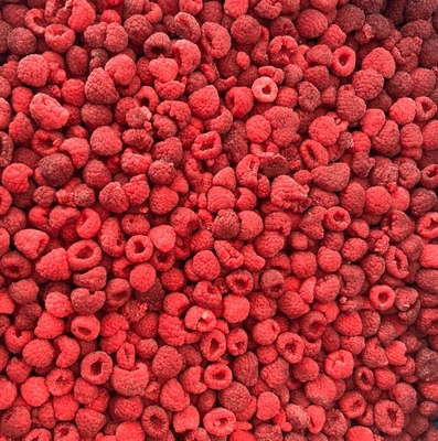 High Quality IQF Frozen Whole Raspberries in Bulk Carton Packed