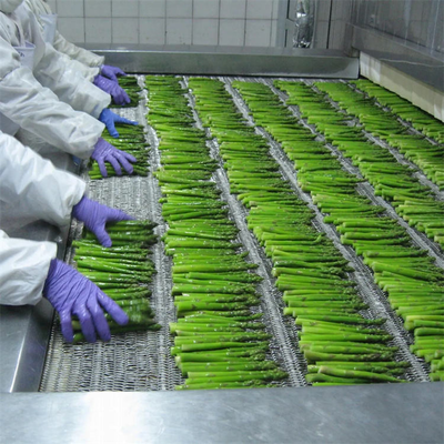 Factory Certified Quality Manufacture IQF Frozen Asparagus