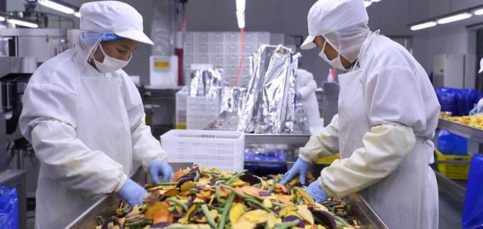 उच्च गुणवत्ता वाले थोक जमे हुए रास्पबेरी जमे हुए रास्पबेरी थोक पैकेजिंग फल 10