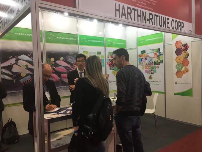 उच्च गुणवत्ता वाले थोक जमे हुए रास्पबेरी जमे हुए रास्पबेरी थोक पैकेजिंग फल 19