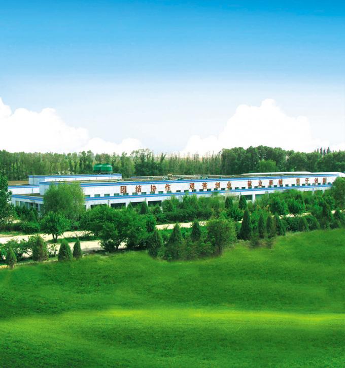 सिनोचार्म 4-स्टार उत्पाद BRC-A ताज़ा पीला आड़ू 10x10mm फ्रोजन डाइस्ड फ्रूट क्यूब्स IQF पीला आड़ू डाइस 8