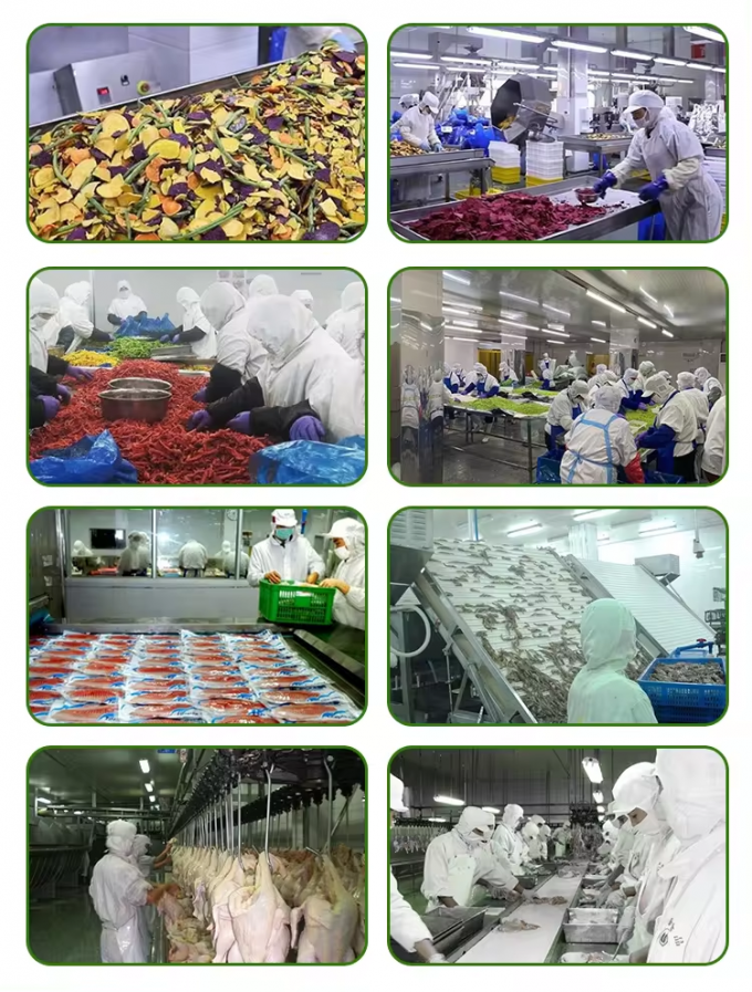 थोक में पैक किया गया फ्रोजन कद्दू, कटा हुआ, आईक्यूएफ कद्दू के टुकड़े, फ्रोजन सब्जियां 5