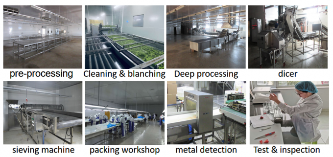चीनी आपूर्ति सर्वश्रेष्ठ गुणवत्ता अच्छी कीमत Iqf जमे हुए सब्जी पूरे ओक्र गम्बो 8