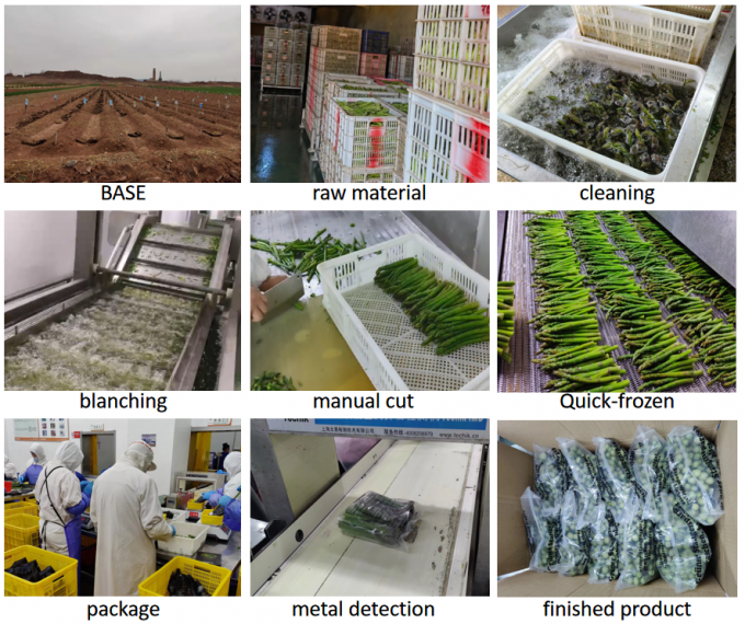 कस्तूरी कस्तूरी कस्तूरी जमे हुए सब्जियां IQF जमे हुए हरे कस्तूरी बीज एक ग्रेड थोक पैकेजिंग कस्तूरी की कीमत 4