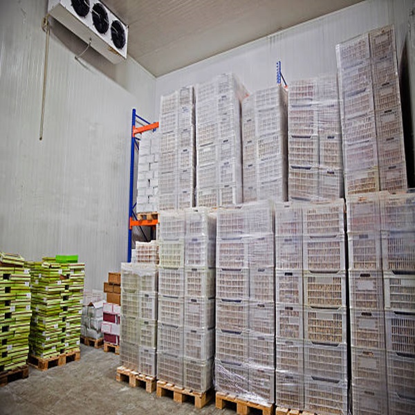 सस्ते दाम शीर्ष गुणवत्ता कम वसा वाला स्वच्छ हलाल प्रमाणित फ्रोजन भेड़ का जिगर 3