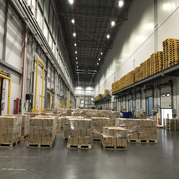 सस्ते दाम शीर्ष गुणवत्ता कम वसा वाला स्वच्छ हलाल प्रमाणित फ्रोजन भेड़ का जिगर 1