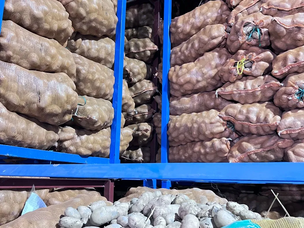 फ्राइज फ्राइज का लोड और समय पर वितरण 0