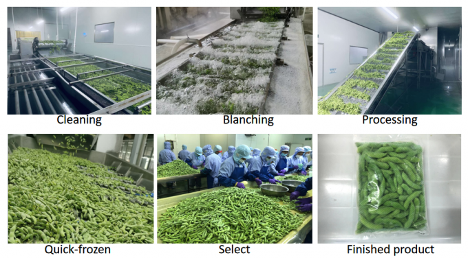 चीन आपूर्तिकर्ता सोया बीन्स IQF फ्रोजन एडमैम शेल्ड में 4