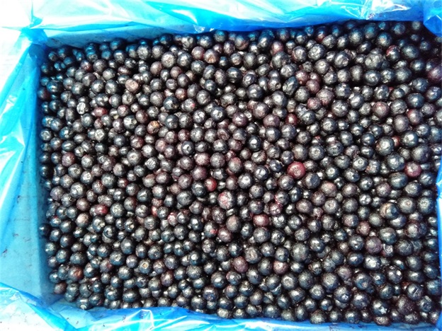 आईक्यूएफ फ्रोजन होल ब्लूबेरी प्रीमियम बेकिंग और स्मूदी टॉपिंग इंटेंसली 2