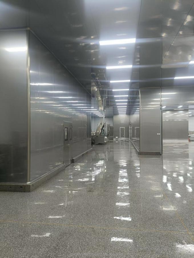 गर्म उत्पाद फैक्टरी मूल्य सफेद रंग बीआरसी एचएसीसीपी प्रमाण पत्र जमे हुए सब्जियां आईक्यूएफ जैविक लहसुन 5