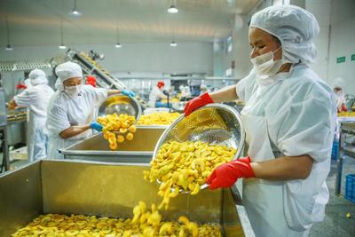 IQF जैविक पीला आड़ू आधा जमे हुए फल मीठा स्वाद थोक पैक किया हुआ संरक्षित पानी का दाल पूरे क्यूब्स पासा आधा उपलब्ध 8