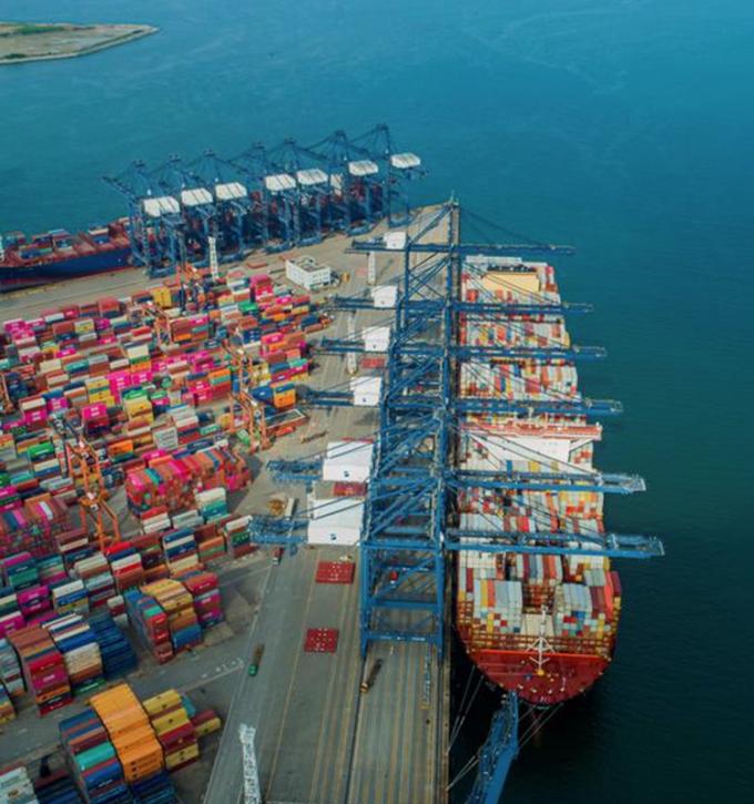 IQF जैविक पीला आड़ू आधा जमे हुए फल मीठा स्वाद थोक पैक किया हुआ संरक्षित पानी का दाल पूरे क्यूब्स पासा आधा उपलब्ध 13