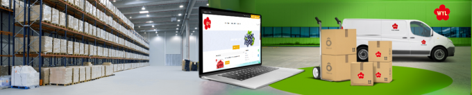 उच्च गुणवत्ता वाले IQF जमे हुए खुबानी आधा थोक और खुदरा के लिए गर्म बिक्री फैक्टरी मूल्य पानी संरक्षण थोक पैकेजिंग 1