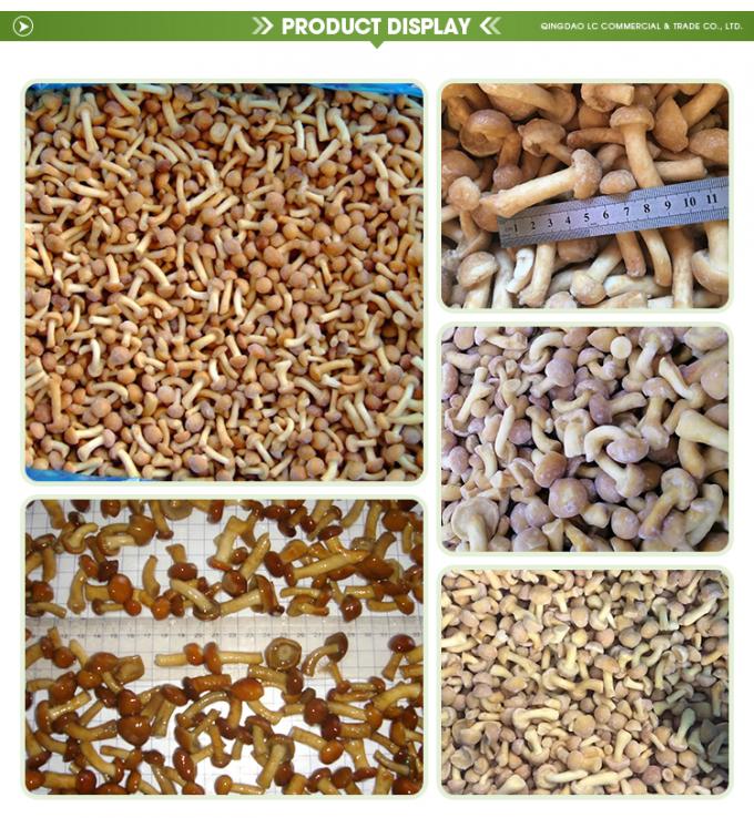 जंगली उगाए गए जैविक मशरूम स्वस्थ प्राकृतिक पौष्टिक ताज़े पूरे जमे हुए मशरूम IQF जमे हुए नामेको 1