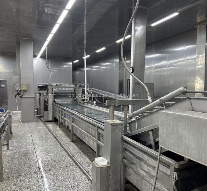 IQF चार जमे हुए सब्जियां हरी मटर और मीठे मकई के नाखून 9