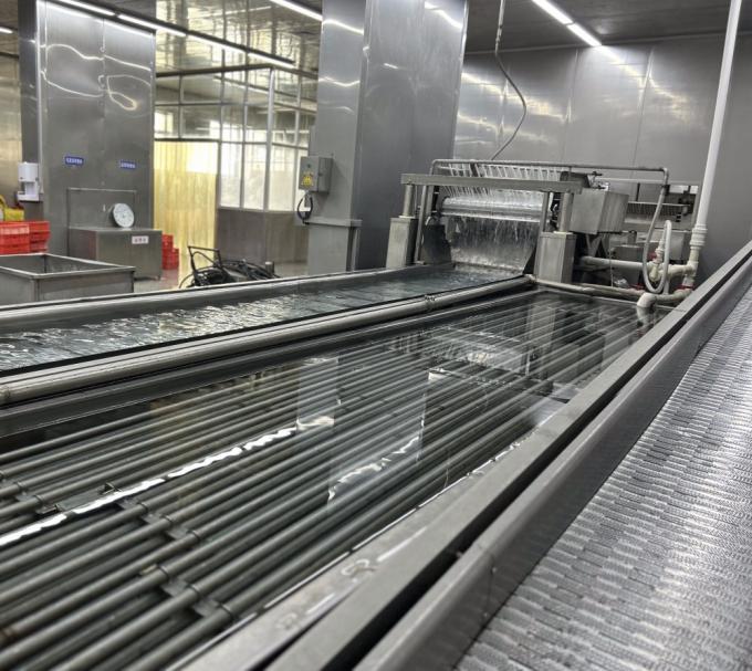 IQF चार जमे हुए सब्जियां हरी मटर और मीठे मकई के नाखून 13