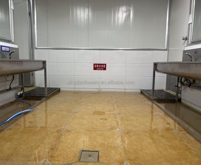 IQF चार जमे हुए सब्जियां हरी मटर और मीठे मकई के नाखून 14