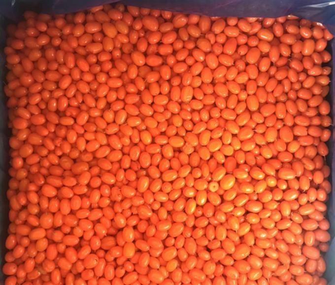 उत्पत्ति चीन IQF ताजा जमे हुए जंगली समुद्री बक्थर्न प्रथम श्रेणी समुद्री बक्थर्न लिंगोबेरी रास्पबेरी, ब्लूबेरी मिश्रित जामुन 0