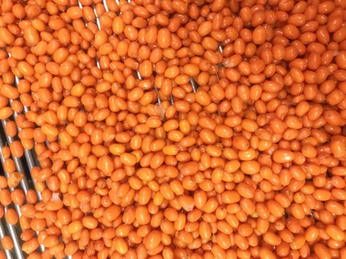 उत्पत्ति चीन IQF ताजा जमे हुए जंगली समुद्री बक्थर्न प्रथम श्रेणी समुद्री बक्थर्न लिंगोबेरी रास्पबेरी, ब्लूबेरी मिश्रित जामुन 2