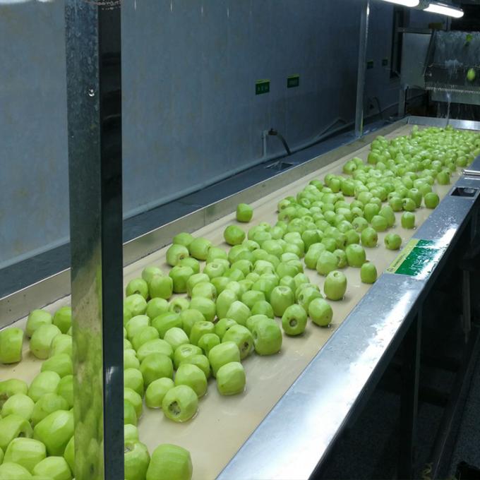 कीवी फल जमे हुए फल जमे हुए कीवी गेंद गुणवत्ता प्राकृतिक 5