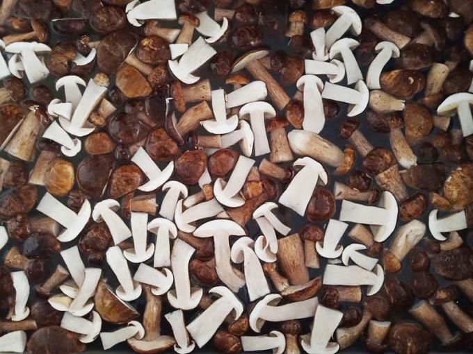 जमे हुए मशरूम IQF BOLETUS EDULIS ग्रेड A 24 महीने शेल्फ लाइफ ISO HACCP BRC कोषेर हलाल प्रमाणित 10 टन MOQ 0