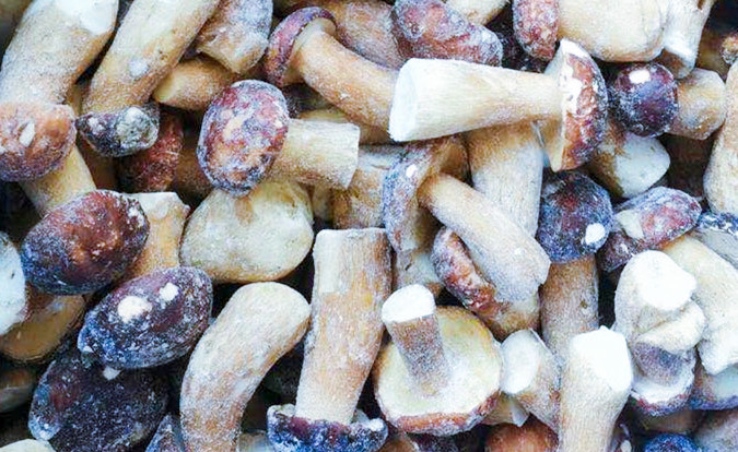 जमे हुए मशरूम IQF BOLETUS EDULIS ग्रेड A 24 महीने शेल्फ लाइफ ISO HACCP BRC कोषेर हलाल प्रमाणित 10 टन MOQ 2