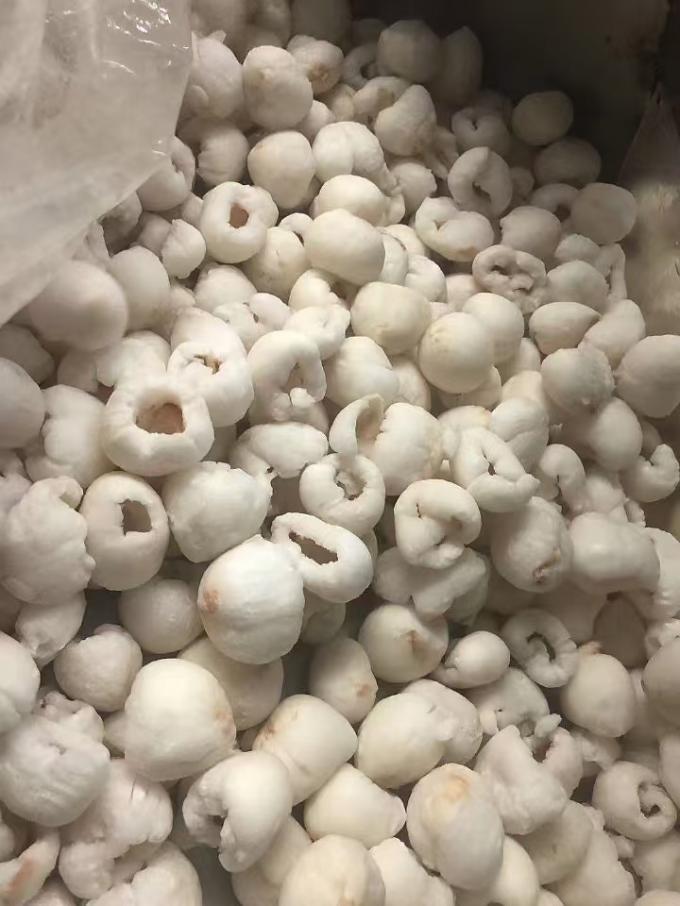 फ्रीज पूर्ण छील लीची थोक कार्टन पैकेजिंग में IQF मीठा स्वाद लीची फल आम के साथ संरक्षित फलों की किस्म 3