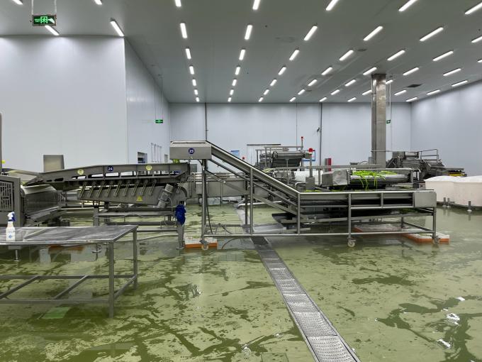 उच्च गुणवत्ता वाली ताजी जमे हुए रास्पबेरी स्वादिष्ट स्वाद के लिए हाथ से चुनी गई जूस डेसर्ट मिल्कशेक 9