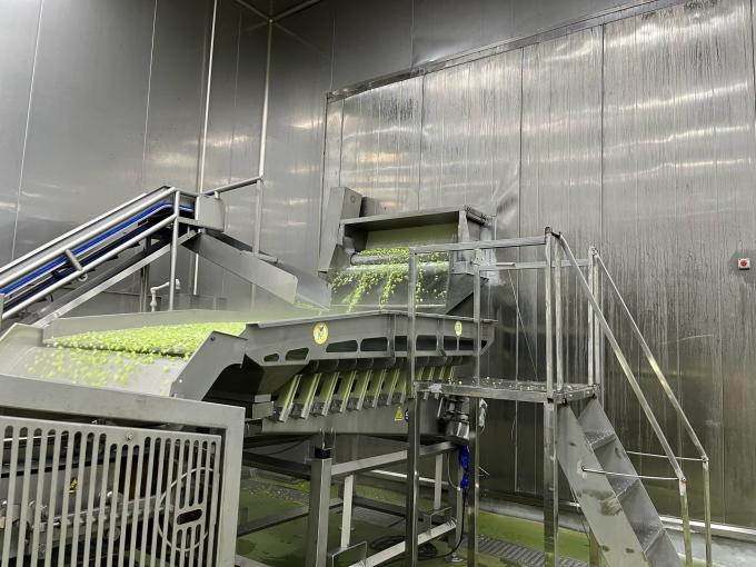 उच्च गुणवत्ता वाली ताजी जमे हुए रास्पबेरी स्वादिष्ट स्वाद के लिए हाथ से चुनी गई जूस डेसर्ट मिल्कशेक 10