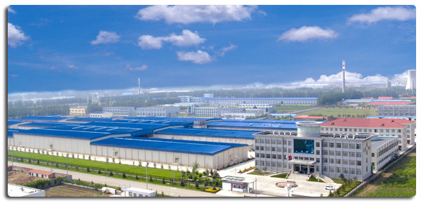 उच्च गुणवत्ता वाले जमे हुए अस्थिहीन चिकन स्तन निर्यात तैयार थोक पैकेजिंग में 4