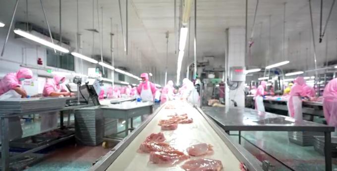 उच्च गुणवत्ता वाले जमे हुए अस्थिहीन चिकन स्तन निर्यात तैयार थोक पैकेजिंग में 6